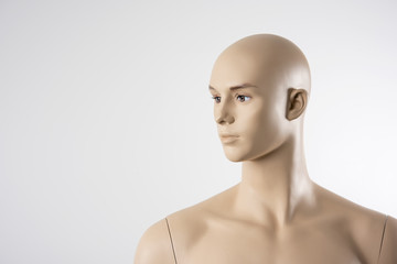 Male Mannequin