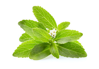 Stevia leaves