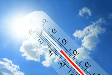 Thermometer 110