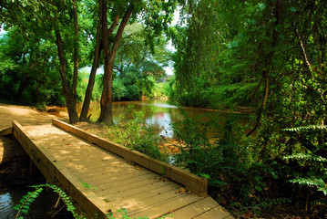 Autauga Creek / Autauga Creek near Prattville, Alabama
