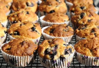 Blueberry Muffins