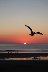 newquay cornwall summer 2018 beach,family fun a and  sunset skis.