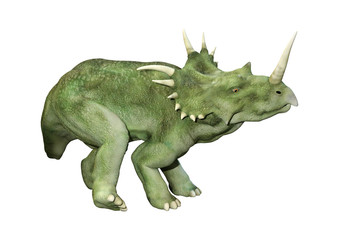 3D Rendering Dinosaur Styracosaurus  on White