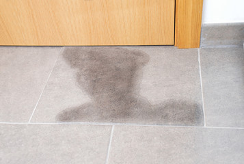 flood in my building