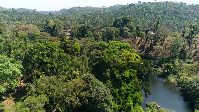 Aerial view of a river running through a coffee plantation filmed by drone in Karnataka India