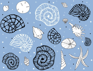 Sea shells repeat pattern on light blue bg