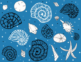 Sea shells repeat pattern on blue bg
