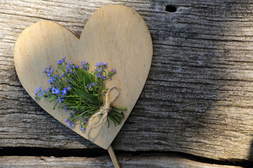 Vergissmeinnicht Hintergrund