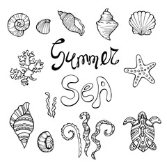 Sketchy vector hand drawn Doodle cartoon set of objects and symbols on the Summer beach. Seashell and sea waves.