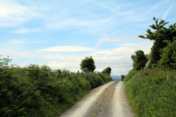 Summer afternoon on Whiddy Island Bantry West Cork ireland