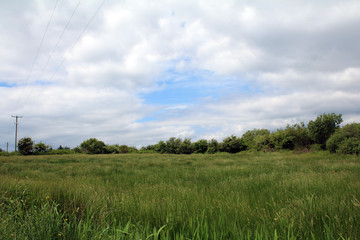 Summer afternoon on Whiddy Island Bantry West Cork ireland