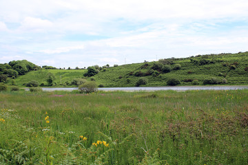 Summer afternoon on Whiddy Island Bantry West Cork ireland