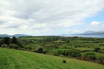 Obraz premium Summer afternoon on Whiddy Island Bantry West Cork ireland