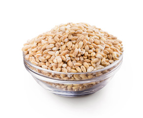 Wheat grains in bowl on white background