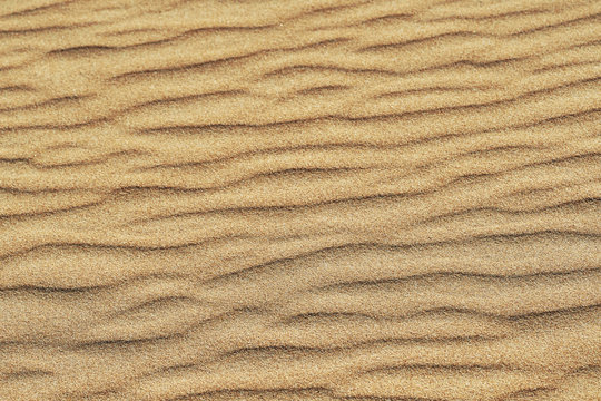 Pattern of golden sand on a beach in the summer. The textured surface of sand on the beach after a strong wind in the form of waves close up. Ribbed  sand texture