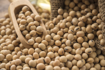 closeup is some soybeans with wooden spoon
