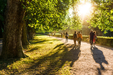 Fototapeta Spaziergänger im Park in der Abendsonne (2) obraz