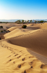 Maspalomas sand dunes
