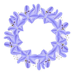 Blue Purple Agapanthus Wreath