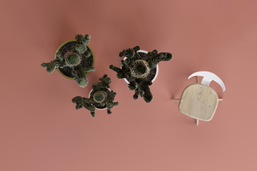 Placement of objects in the studio on a colored background