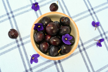 A bowl with plums stands on a white tablecloth. On the table lie plums and flowers of violets. Chaotic composition.