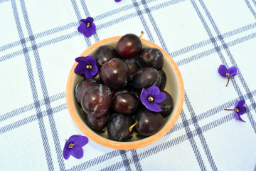 A bowl with plums stands on a white tablecloth. On the table lie plums and flowers of violets. Chaotic composition.
