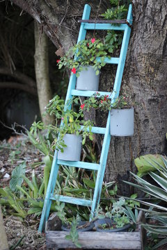 Escada das Flores