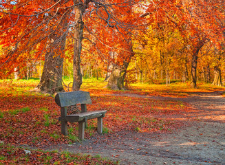 Naklejka na ściany i meble Nice park with bench in autumn