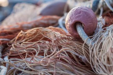 Fischer Netze