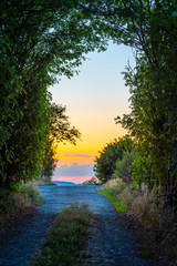 Fototapeta na wymiar Magical path at sunset in summer High dynamic gives the scenery an enchanted atmosphere. 