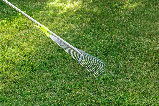 Gardening. The adult rakes the green lawn with a rake. Lawn care. back yard