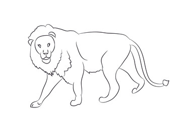 dog portrait profile, look down