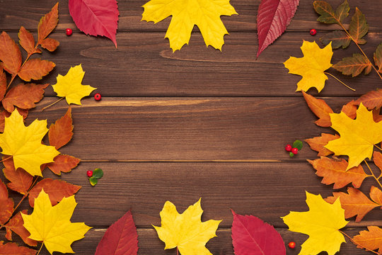 Autumn frame for your idea and text. Autumn fallen dry leaves of yellow, red, orange, lined around the perimeter of the frame on an old wooden board of brown color. The pattern of autumn