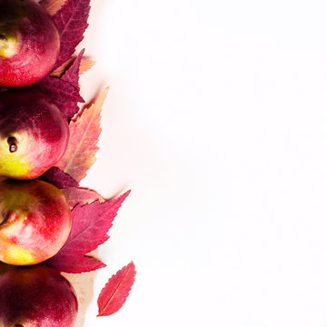 Ripe pears and dry purple leaves on pink background. Autumn harvest concept.