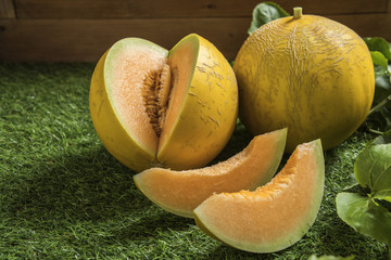 young sprout of Japanese melons or cantaloupe melons plants