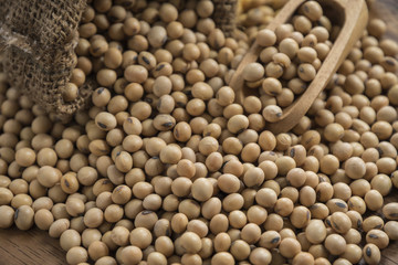 closeup is some soybeans with wooden spoon