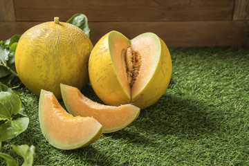 young sprout of Japanese melons or cantaloupe melons plants