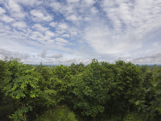 Obraz premium Light in the Dark and Dramatic Storm Clouds background