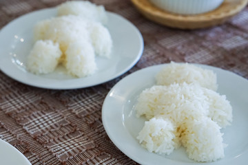 Steamed rice, boiled rice, Rice shaped like a bear.