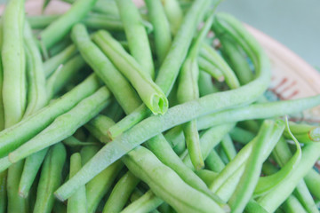 Asparagus beans on a plate. Candid.
