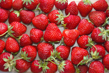 Fresh organic strawberry, background, directly from above