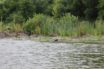 The shore of the plain river