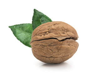 Obraz premium Walnut isolated on white background.