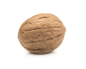 Walnut isolated on white background.