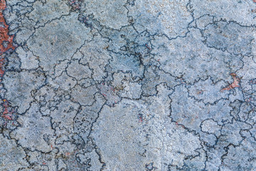 The texture or background of the old stone surface covered with the lichen and moss. The picture is much alike the geographical map