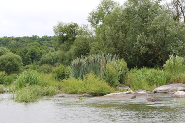 The shore of the plain river