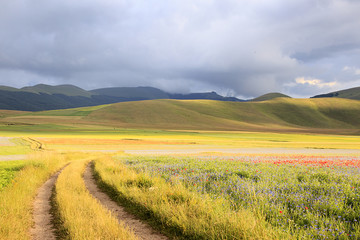 A magnificent sunrise in Castelluccio di Norcia. expecting more to the thousand colours of flowering 