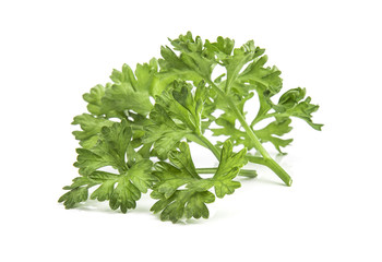 Parsley isolated on white background