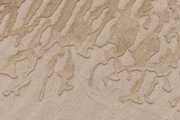 Traces d'eau sur le sable