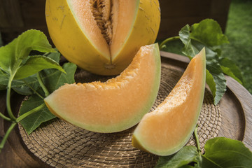 young sprout of Japanese melons or cantaloupe melons plants